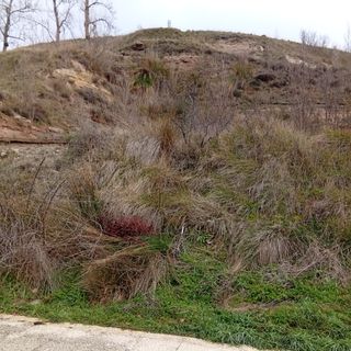 Parcela para construir casa en Briviesca