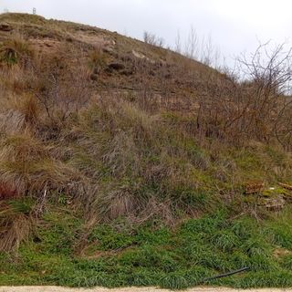 Parcela para construir casa en Briviesca