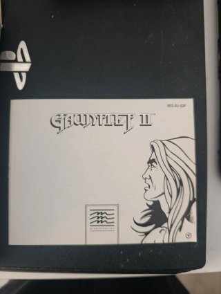 Gauntlet Nintendo nes