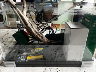 Kit acuario/gambario 18 litros completo