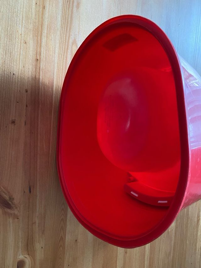 Vasino bimbo orsetto