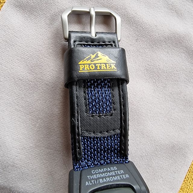 Casio ProTrek PRG-40 triple sensor
