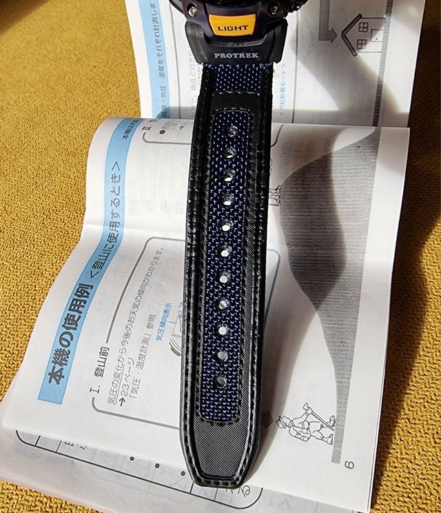 Casio ProTrek PRG-40 triple sensor