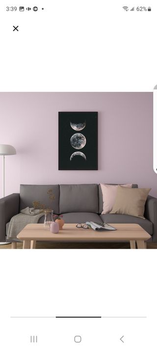 Lamina 61x91 luna ikea. BILD