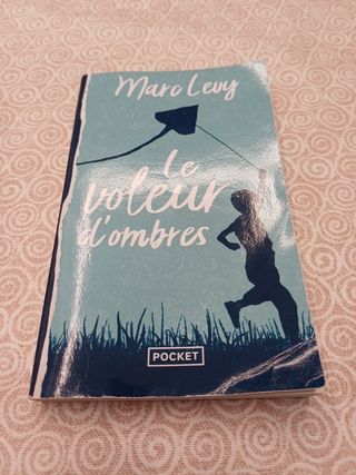 Le voleur d'ombres (Best) (French Edition)