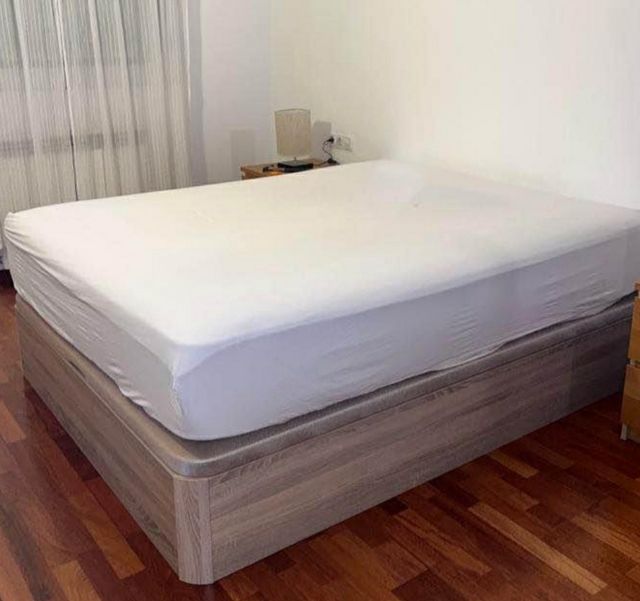 Canapé canapé 💥