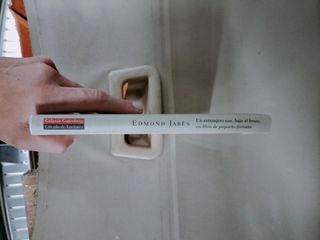 Un extranjero con, bajo el brazo, un libro de pequ