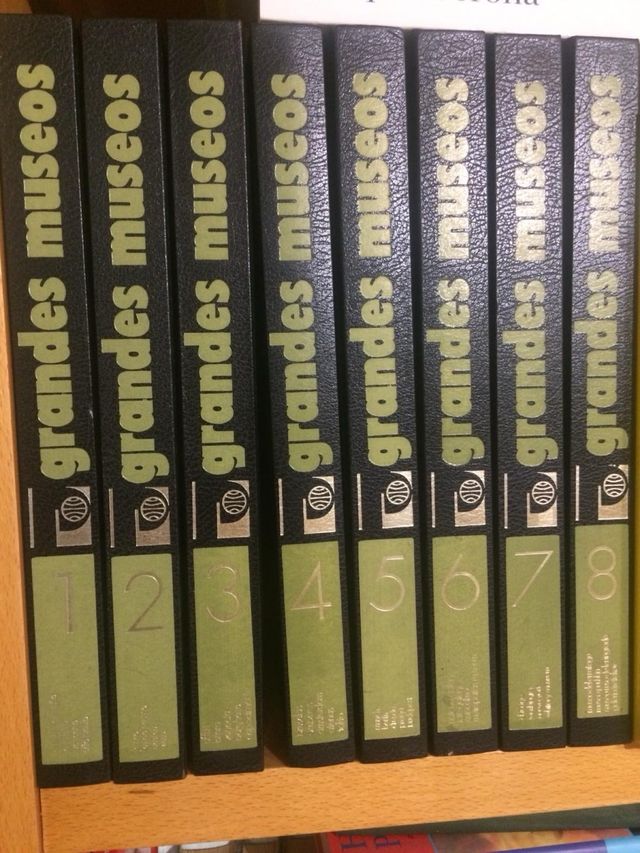 La pintura Grandes Museos Libros 8 tomos
