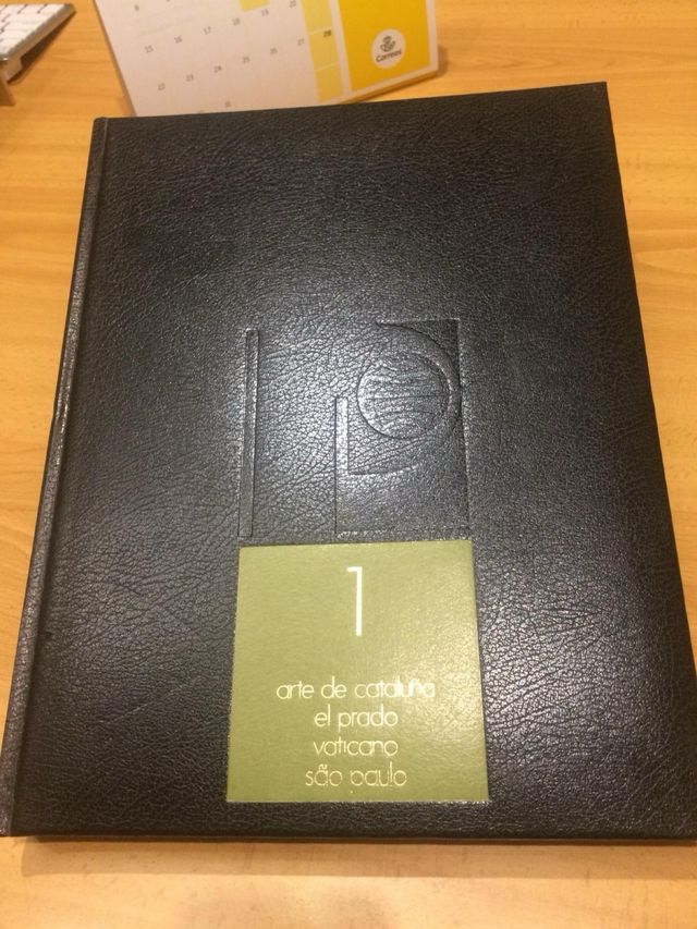 La pintura Grandes Museos Libros 8 tomos