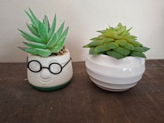 Pequeña maceta decorativa 