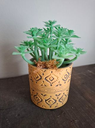 Pequeña maceta decorativa 