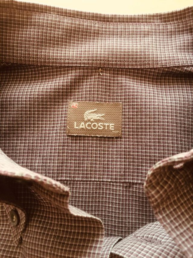 Camicia Lacoste