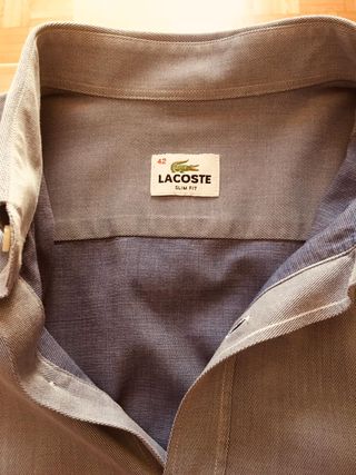 Camicia Lacoste