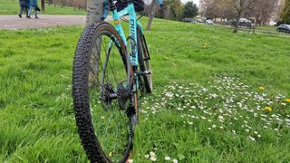 Bicicleta de gravel
