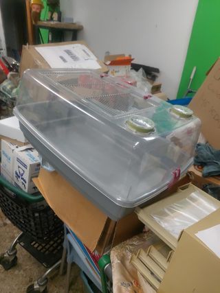 Jaula para cobaya o conejo