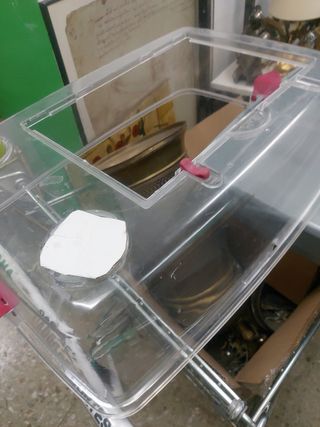 Jaula para cobaya o conejo