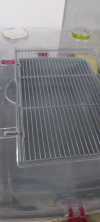 Jaula para cobaya o conejo