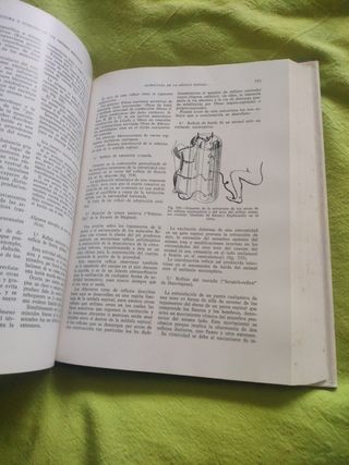 Libro de medicina sobre el sistema nervioso