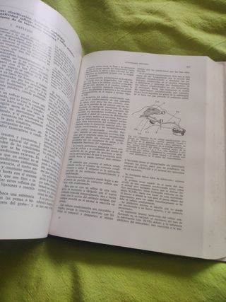 Libro de medicina sobre el sistema nervioso