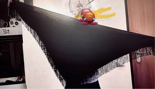 Manton flamenco