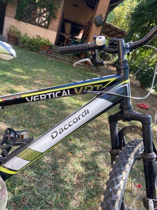 Bicicletta bambino daccordi