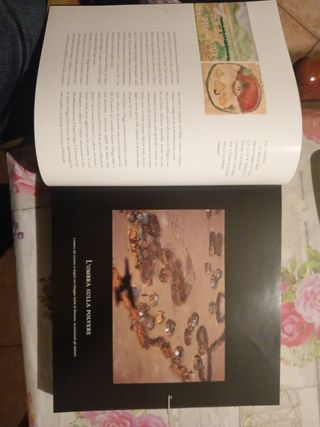 Ultima Africa. Con DVD