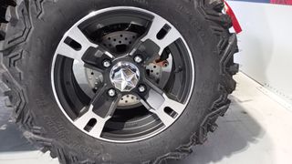 TAO MOTOR 300 LANDER