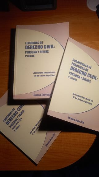 LECCIONES DE DERECHO CIVIL: PERSONA Y BIENES