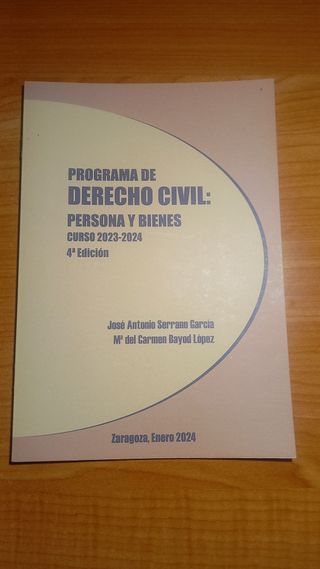LECCIONES DE DERECHO CIVIL: PERSONA Y BIENES
