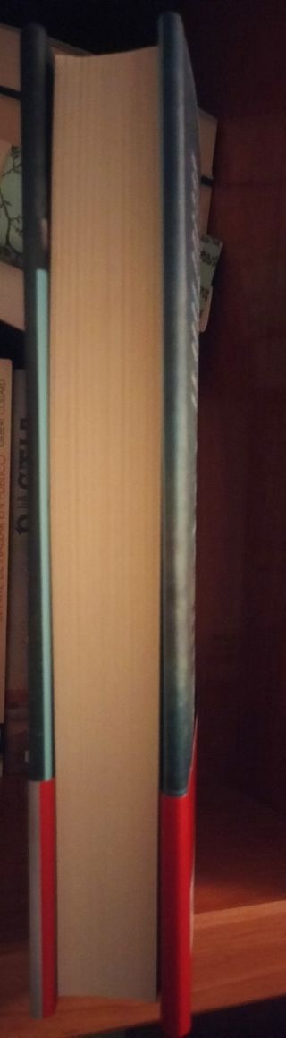 Mi querida Lucía - Primera edición limitada luminiscente: ¿Podría haber evitado sus muertes?