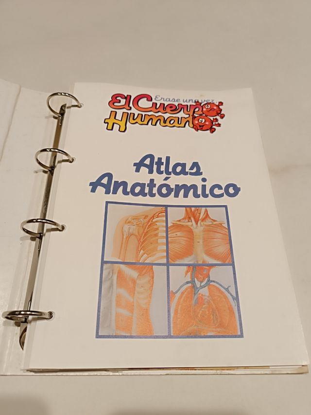 Colección Erase una Vez el Cuerpo Humano