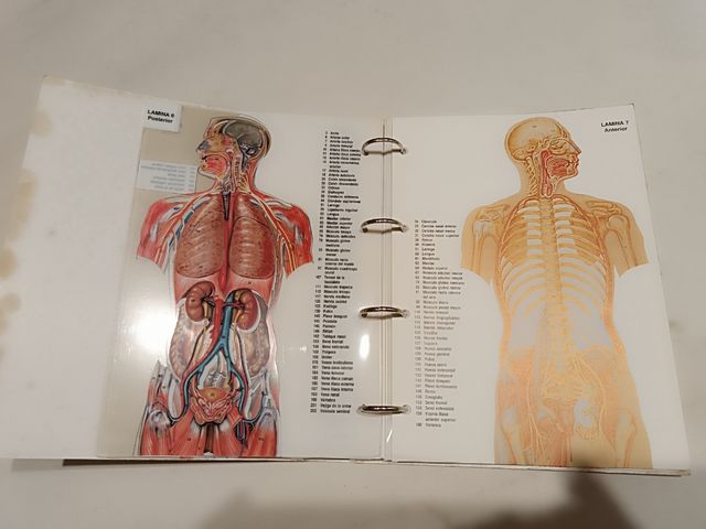 Colección Erase una Vez el Cuerpo Humano