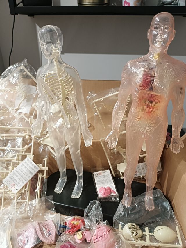 Colección Erase una Vez el Cuerpo Humano