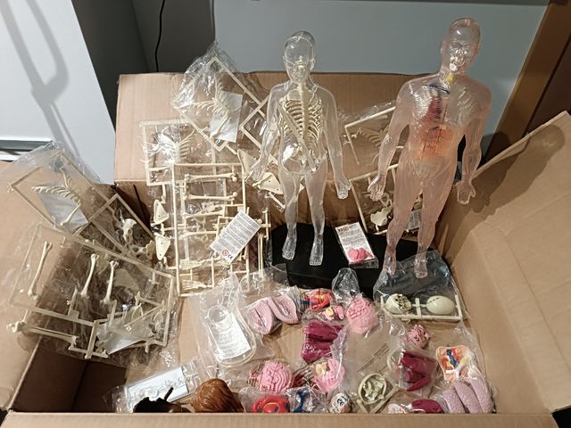 Colección Erase una Vez el Cuerpo Humano