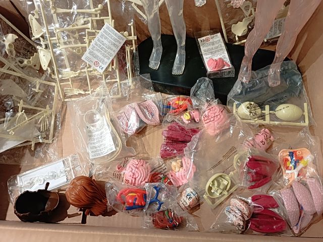 Colección Erase una Vez el Cuerpo Humano