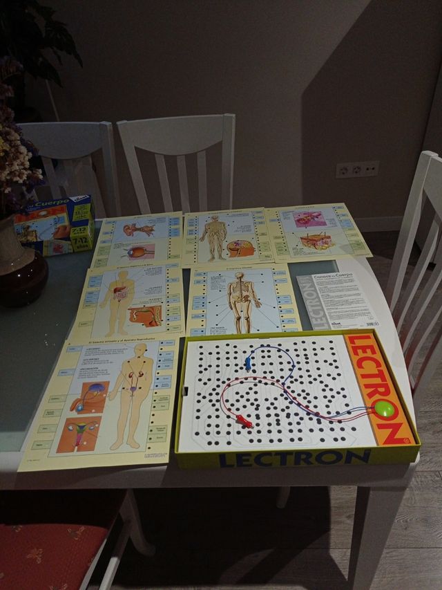 Juego Conoce tu cuerpo Electrón 