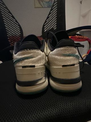 Botas baloncesto Nike Lebron nxxt gen ampd