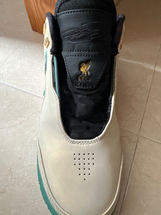 Botas baloncesto Nike Lebron nxxt gen ampd