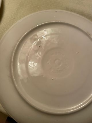 Lotto 4 piatti Ceraminter