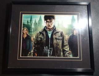 Cuadro Harry Potter 7