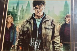 Cuadro Harry Potter 7