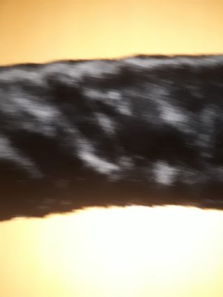 Cuello pelito negro nuevo 