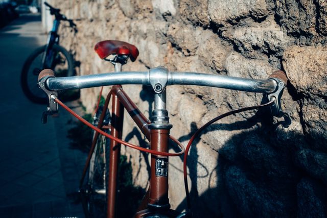 Bicicleta Fixed Gear Custom