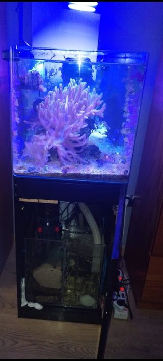 Acuario marino Sera Cubico