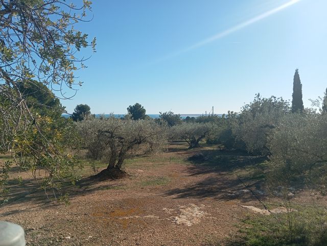 Finca en L,Ampolla 5 jornales llanos