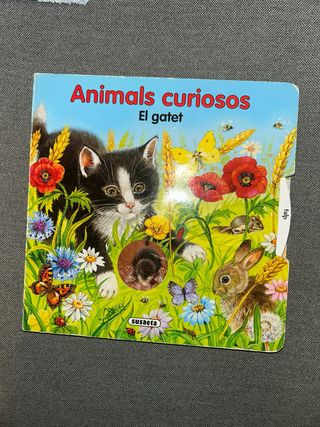 Animals curiosos El gatet