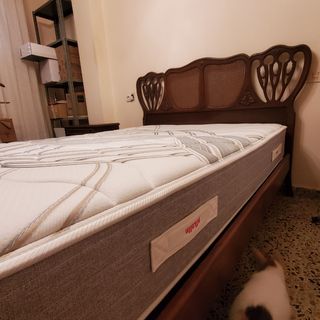 Cama