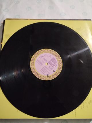 Vinile 