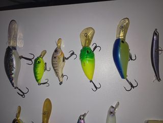 Señuelos de bass 