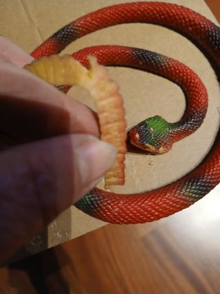 Set serpenti in gomma